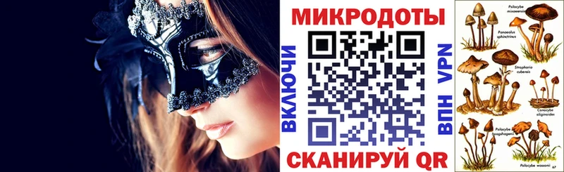 Псилоцибиновые грибы Cubensis  Красный Сулин 